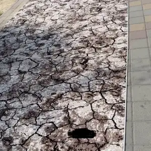 Ковролин, Душанбе