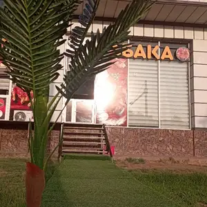 Пальма, Душанбе