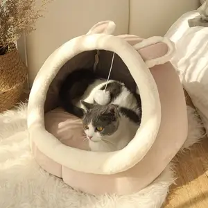 Домик для кошек, Худжанд