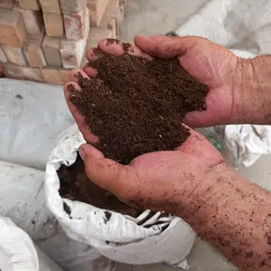 Биогомус, Худжанд