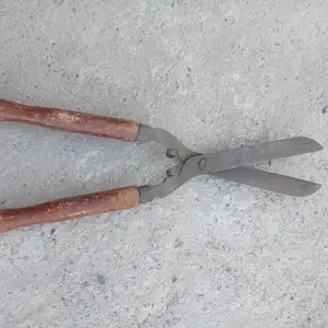 Кайчи СССР, Худжанд