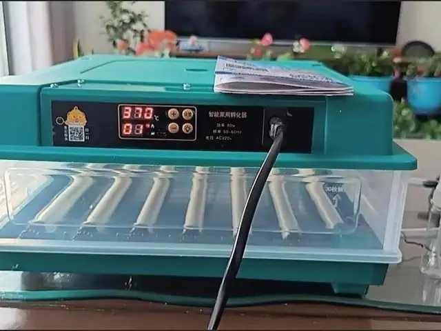 Инкубатор автоматический 220v+12v, Хуҷанд