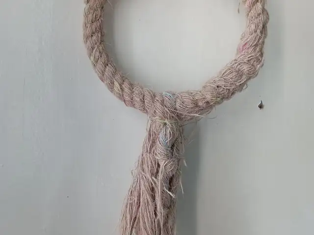 Веревочное кольцо для попугая, Душанбе