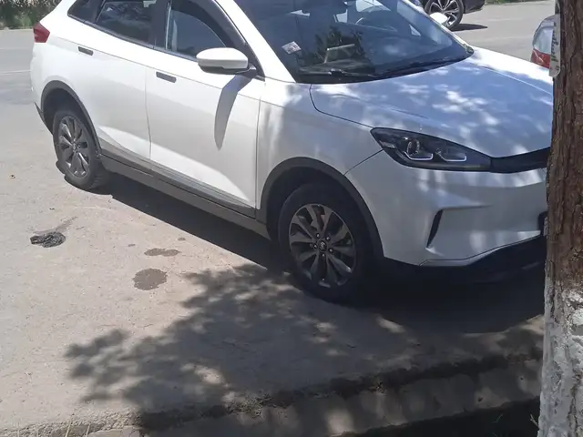 Weltmeister EX5