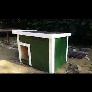Будка для собак, Душанбе