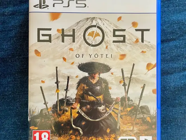 Игра Ghost of Yotei, Душанбе