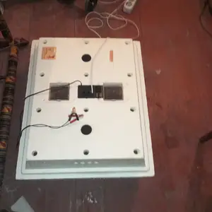 Инкубатор, Бобоҷон Ғафуров