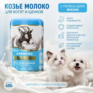 Молоко для котят, Худжанд