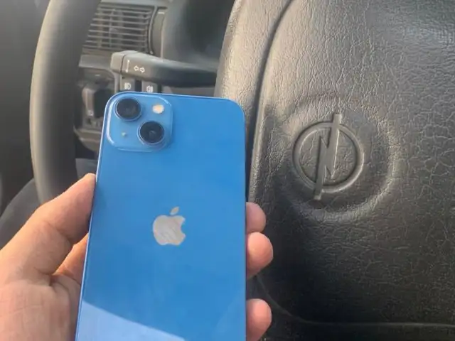 Apple iPhone 13, Рогун