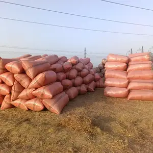 Ках, Душанбе