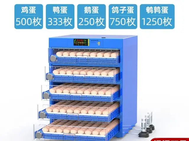 Инкубатор для яиц 500, Душанбе
