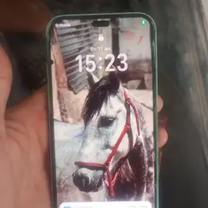 Телефон Honor, Канибадам