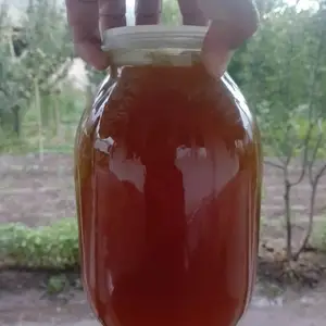 Асали Тоза, Душанбе