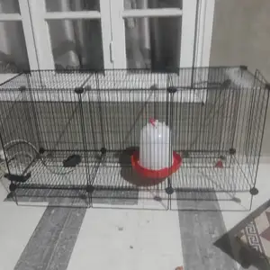 Кафас, Канибадам