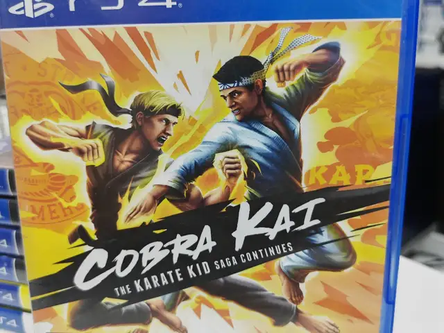 Игра Cobra Kai для Playstation 4/5 CUSA18952, Душанбе