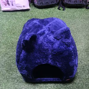 Домик для кошек, Худжанд