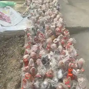 Домкрат, Душанбе