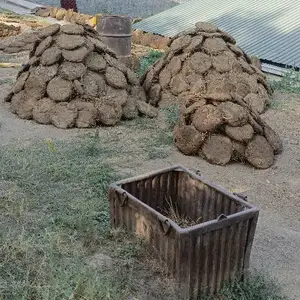 Тапаки фуруши, Душанбе