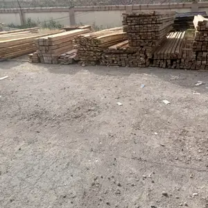 Чуб, Душанбе