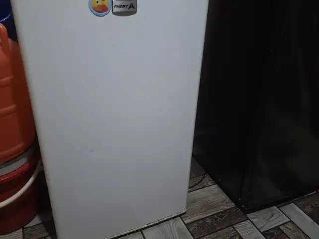 Холодильник, Конибодом