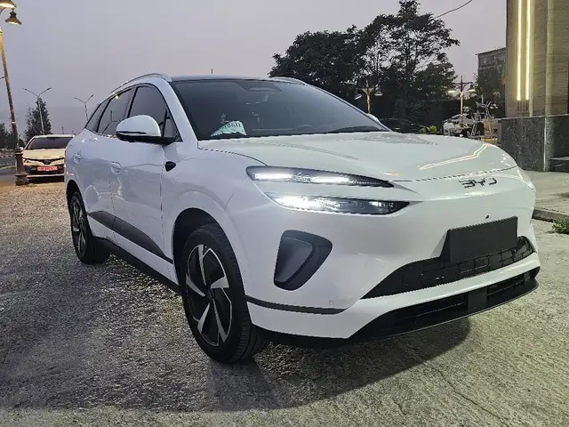 BYD Sea Lion 06