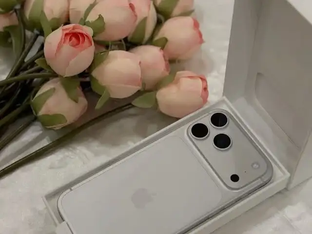 Apple iPhone 17 Pro Max, 512 gb, Silver дубликат, Худжанд