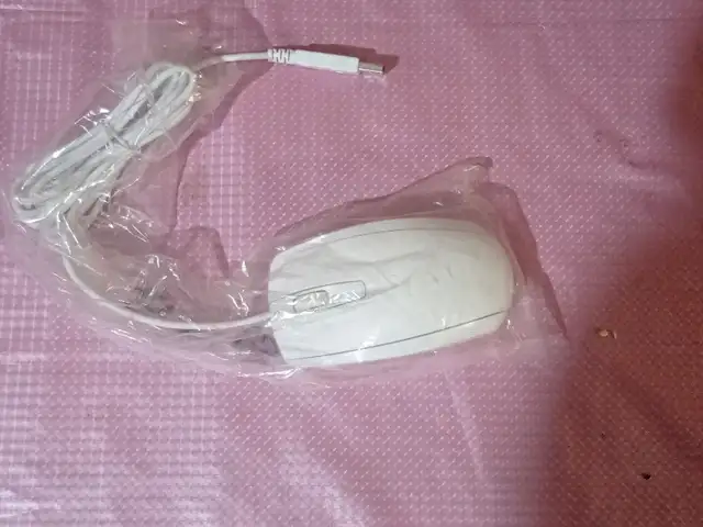 Мышь, Хуҷанд