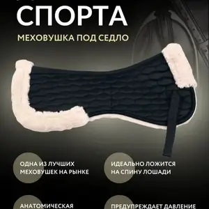 Меховушка барои таги зин, Душанбе