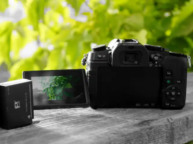 Фотоаппарат Lumix G80, Ҷалолиддин Балхӣ (Румӣ)