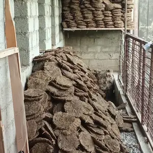 Кизяк, Турсунзаде