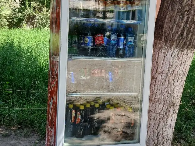 Витринный холодильник, Вахш