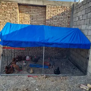 Кафас, Худжанд