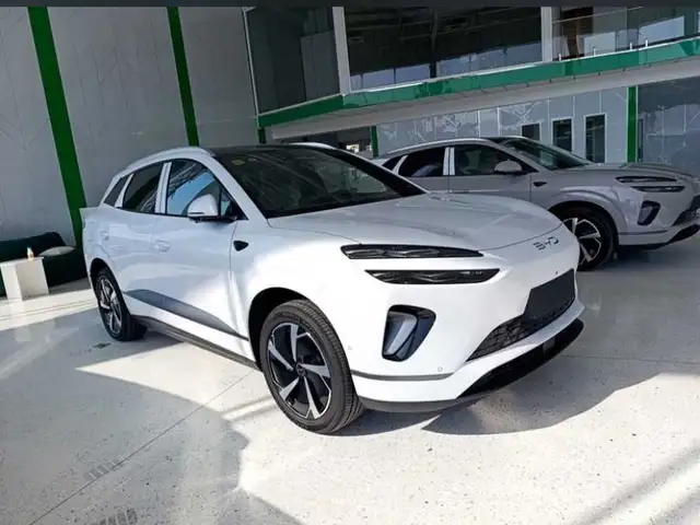 BYD Sea Lion 06