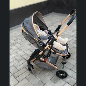 Коляска, Душанбе