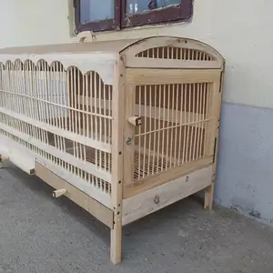 Кафас барои кабк, Душанбе