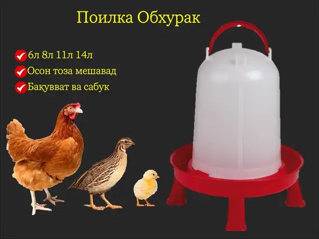 Поилка/Обхураки почадор, Душанбе