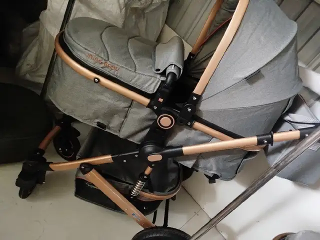 Коляска, Душанбе