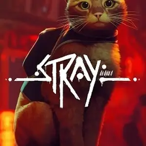 Игра Stray, Душанбе