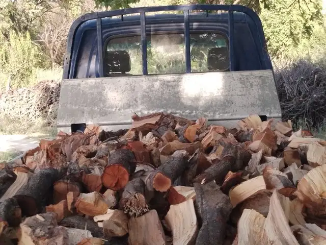 Хезум печка боб, Конибодом