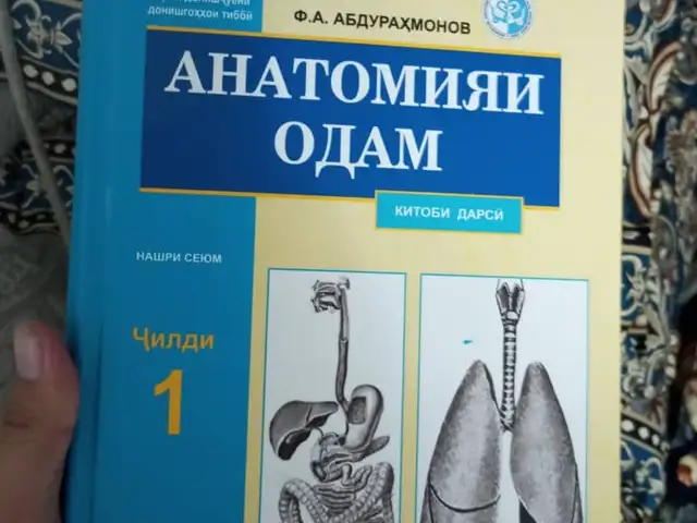Анатомияи Одам, Душанбе
