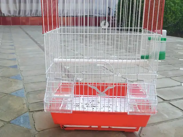 Клетка, Худжанд