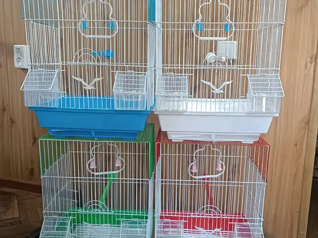Клетка для птиц, Душанбе