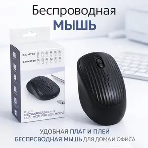 Мышь, Душанбе