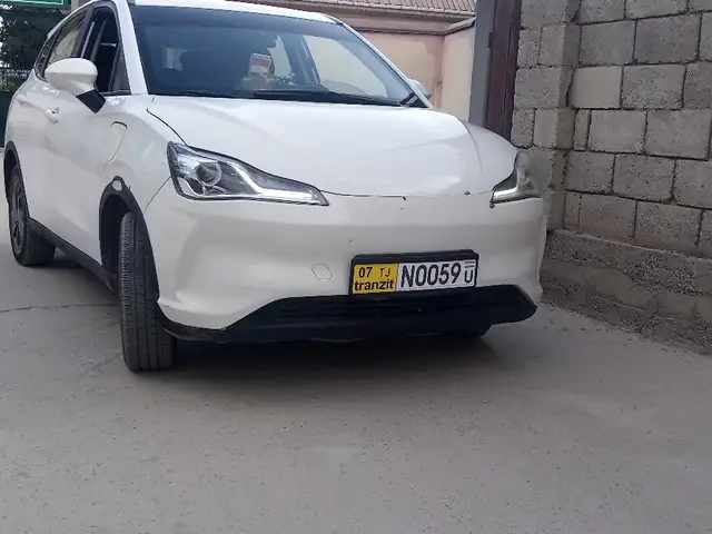 Neta V
