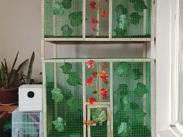 Кафас, Турсунзаде