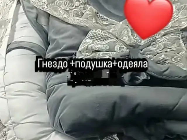 Гнездо, Душанбе