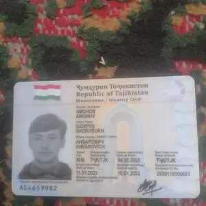Шиноснома гум шудааст, Душанбе