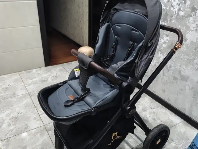 Коляска, Душанбе
