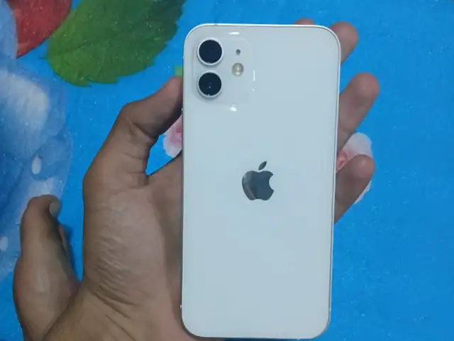 Apple iPhone 12, 128 gb, Хуросон