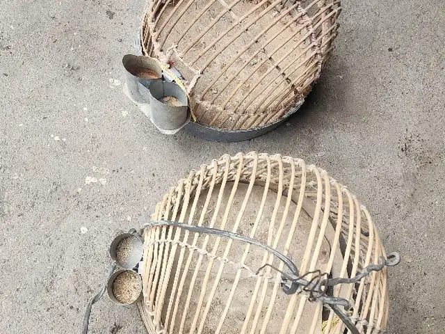 Кафас, Хуҷанд